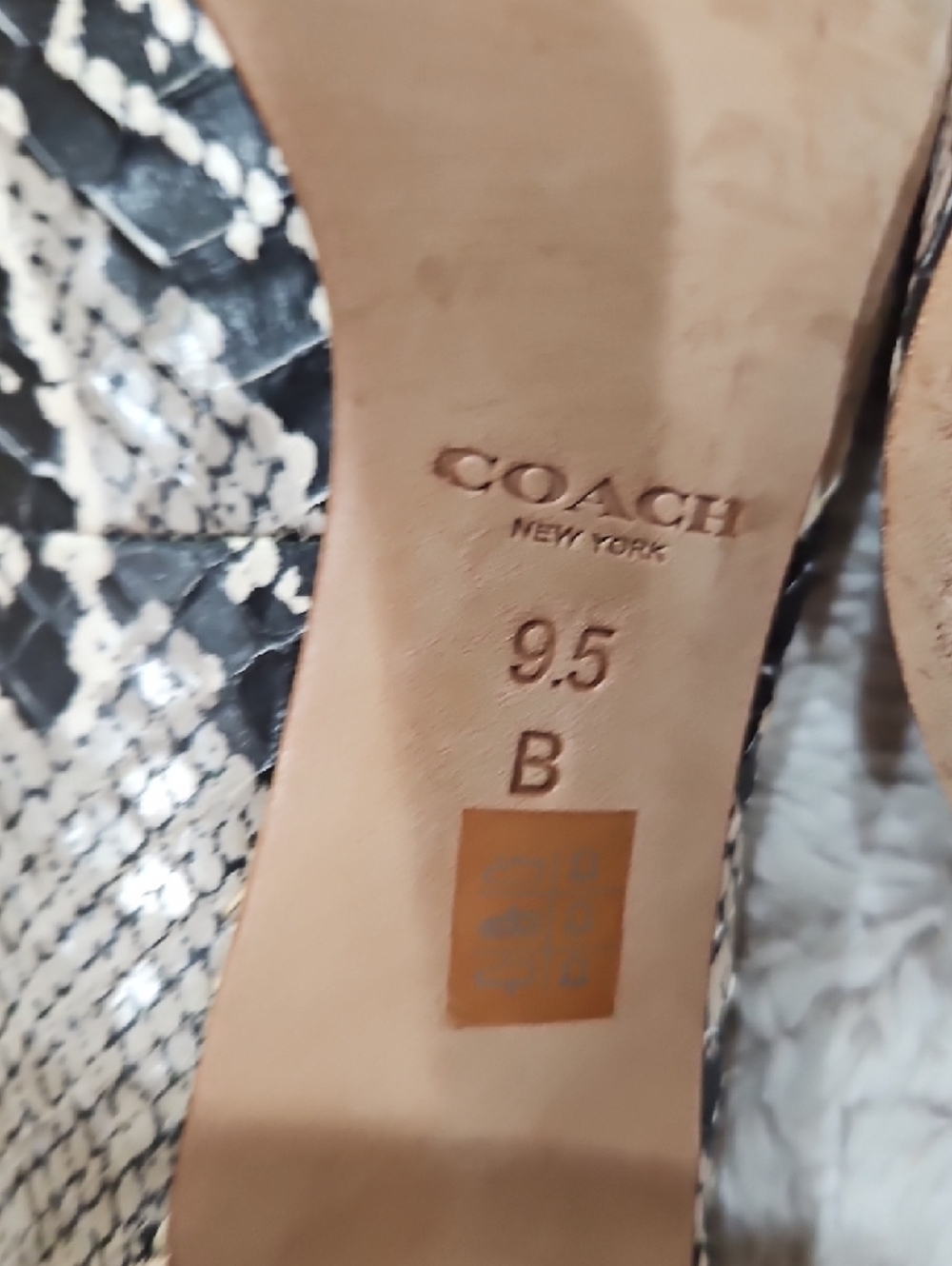Coach Snake-Print Pointed Toe Pumps in Black and Cream with Peach Accents - Picture 6 of 6